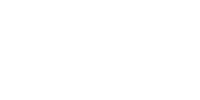 Daily Action Book
